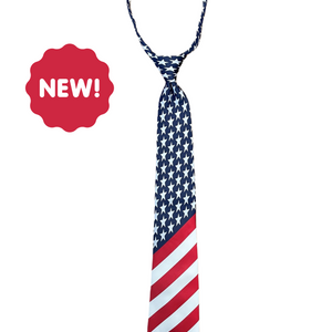 Slider Patriotic Tie